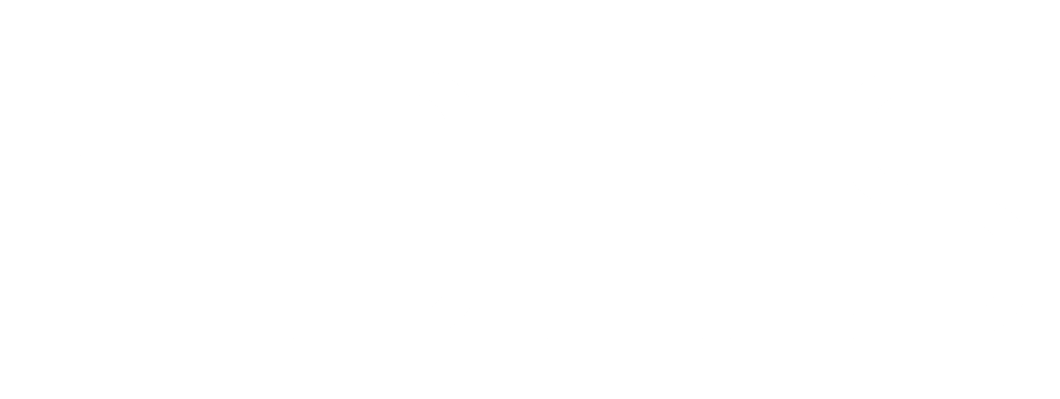YDITS's Logo
